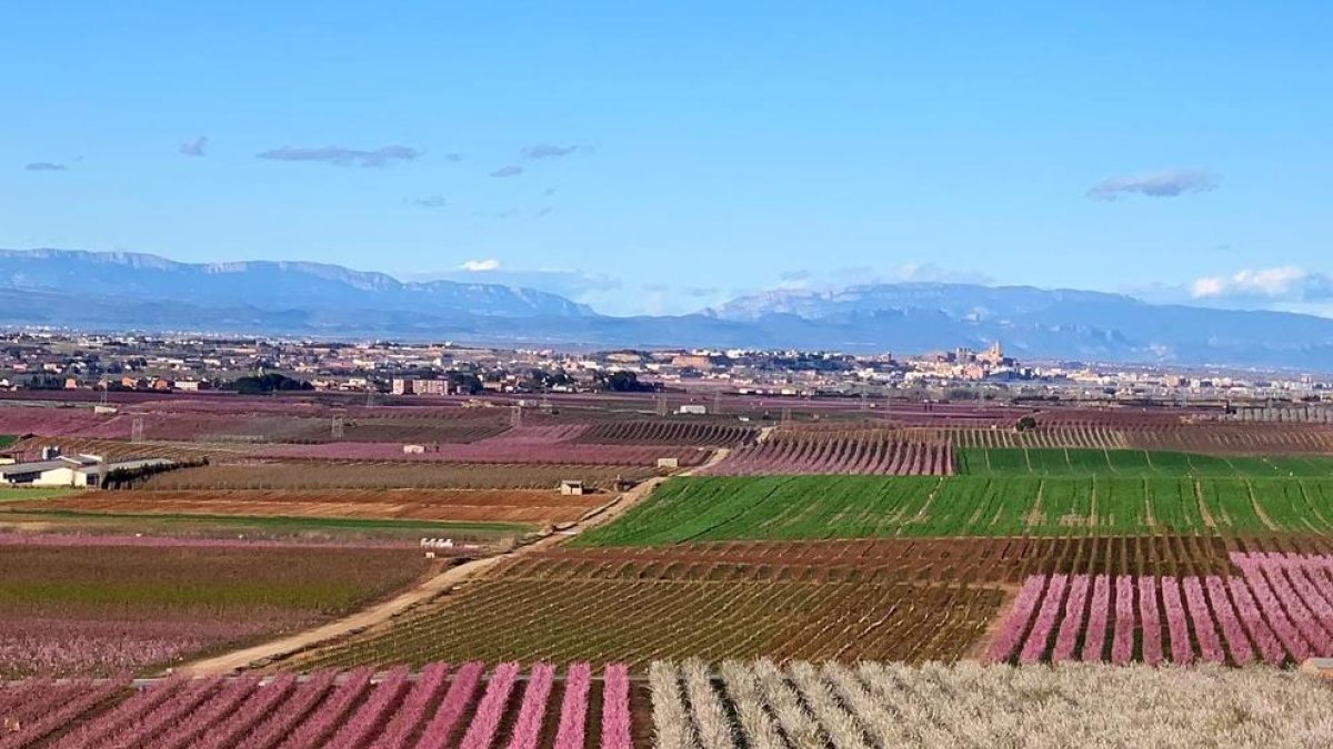 ¡Árboles en flor, campos verdes y buen tiempo...ya está aquí la primavera!