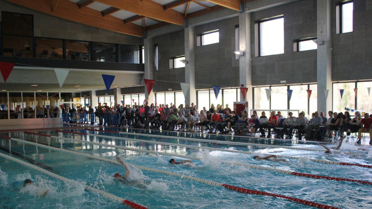 Varios nadadores durante una de las pruebas de espalda.