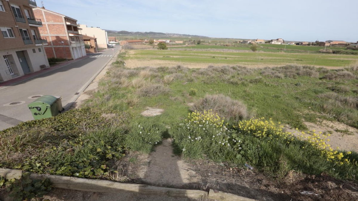 Els terrenys on es construirà la nova escola d’Almenar, projectada fa catorze anys.