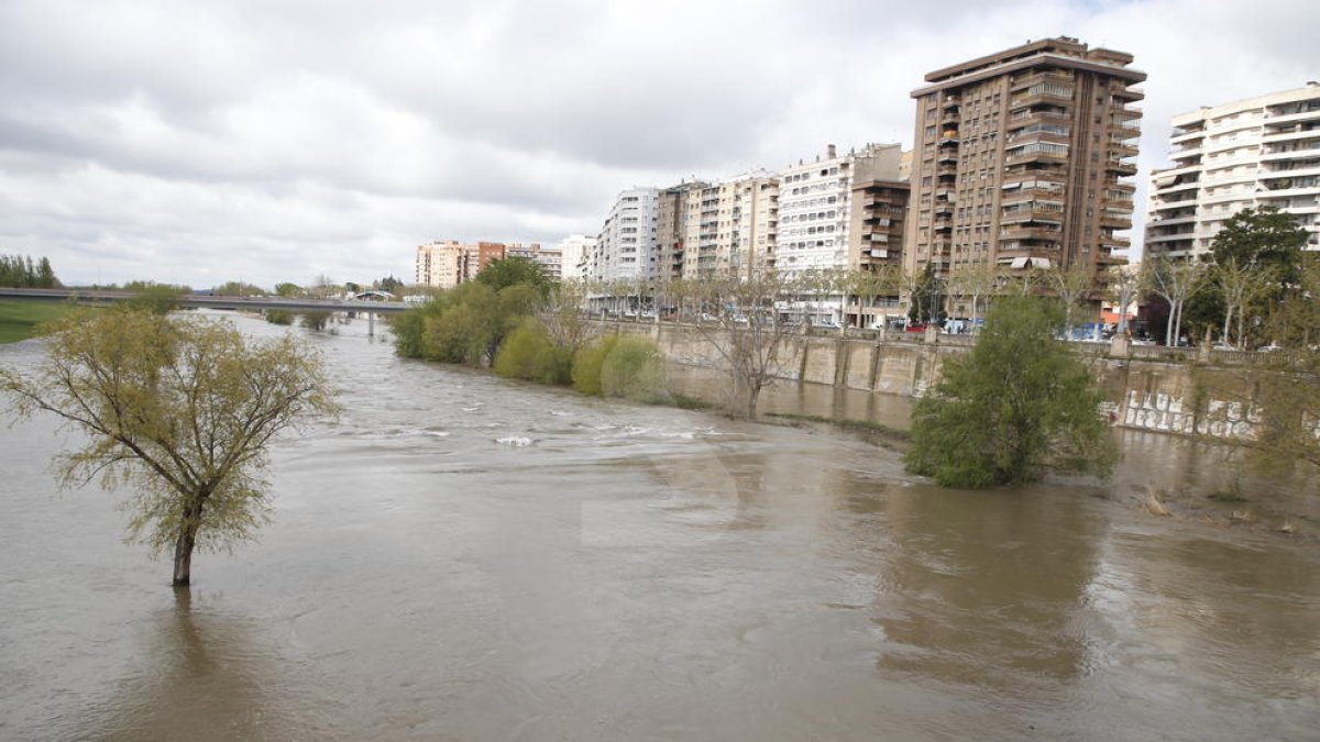 El río Segre a su paso por la ciudad de Lleida este jueves por la mañana.