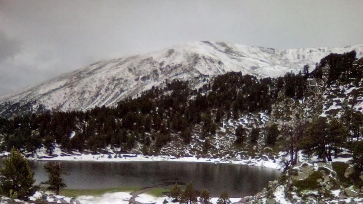 El Pirineu, blanc per la pedra