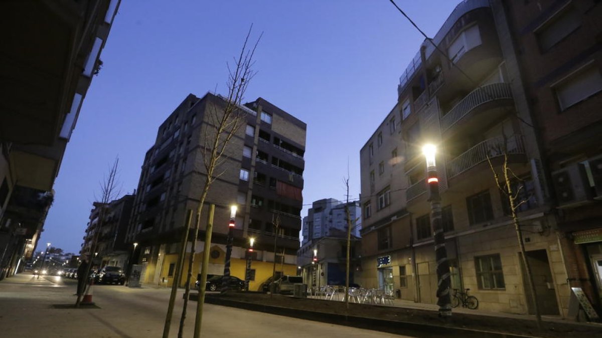 Los nuevos árboles de las calles del Riu y General Brito. 