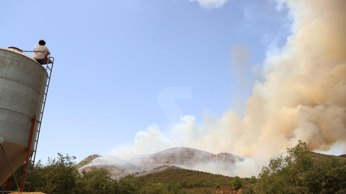 Imatge d'arxiu d'un incendi forestal en Baldomar