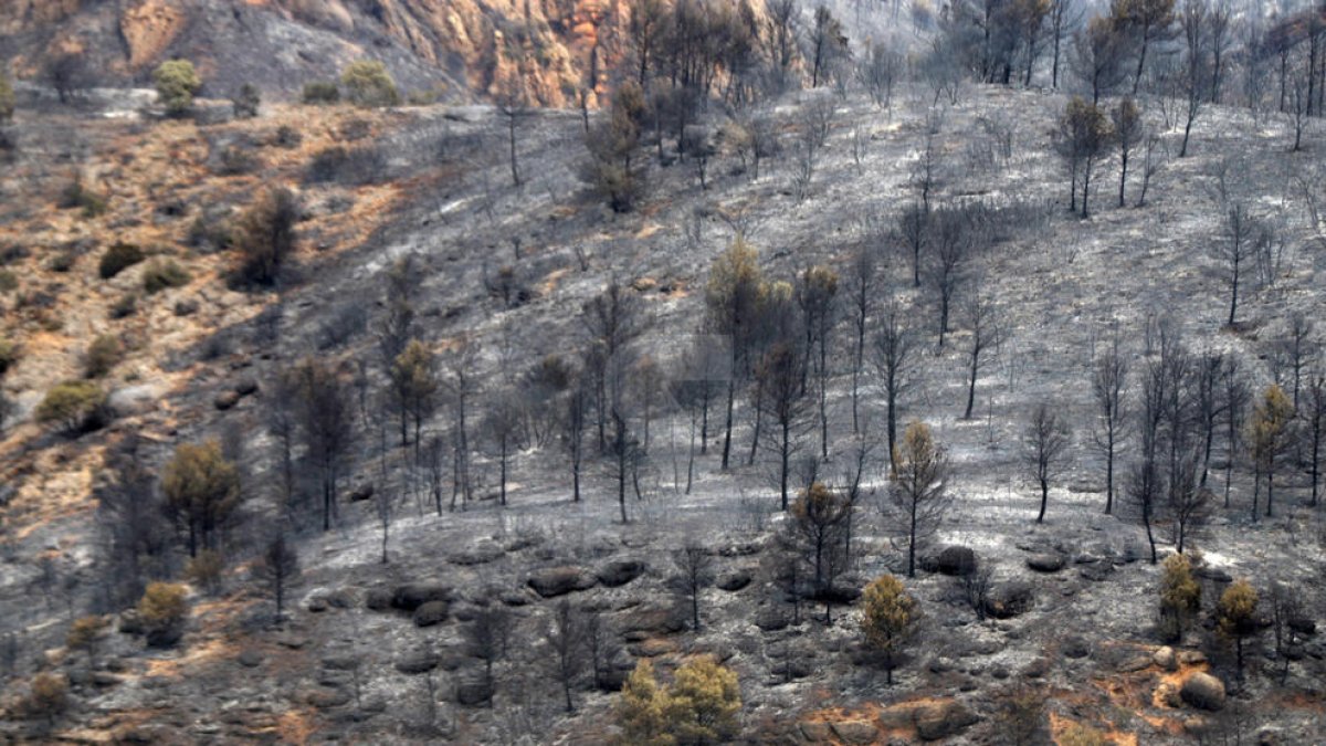 El incendio de Baldomar, en junio, calcinó 2.700 hectáreas.