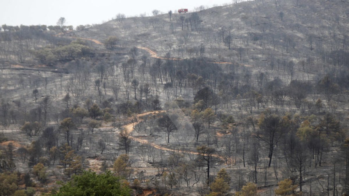 Tierra quemada después del incendio de Baldomar
