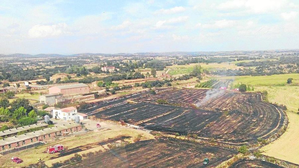 Un incendi calcina 33.000 metres quadrats de vegetació a Butsènit