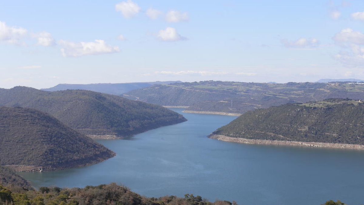 Los ejemplares de mejillón hallados en Ponts.