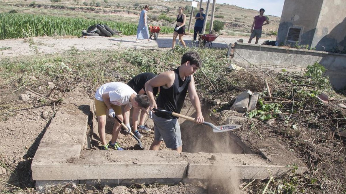 Joves treballant com a voluntaris l’any passat en un camp d’Agramunt.