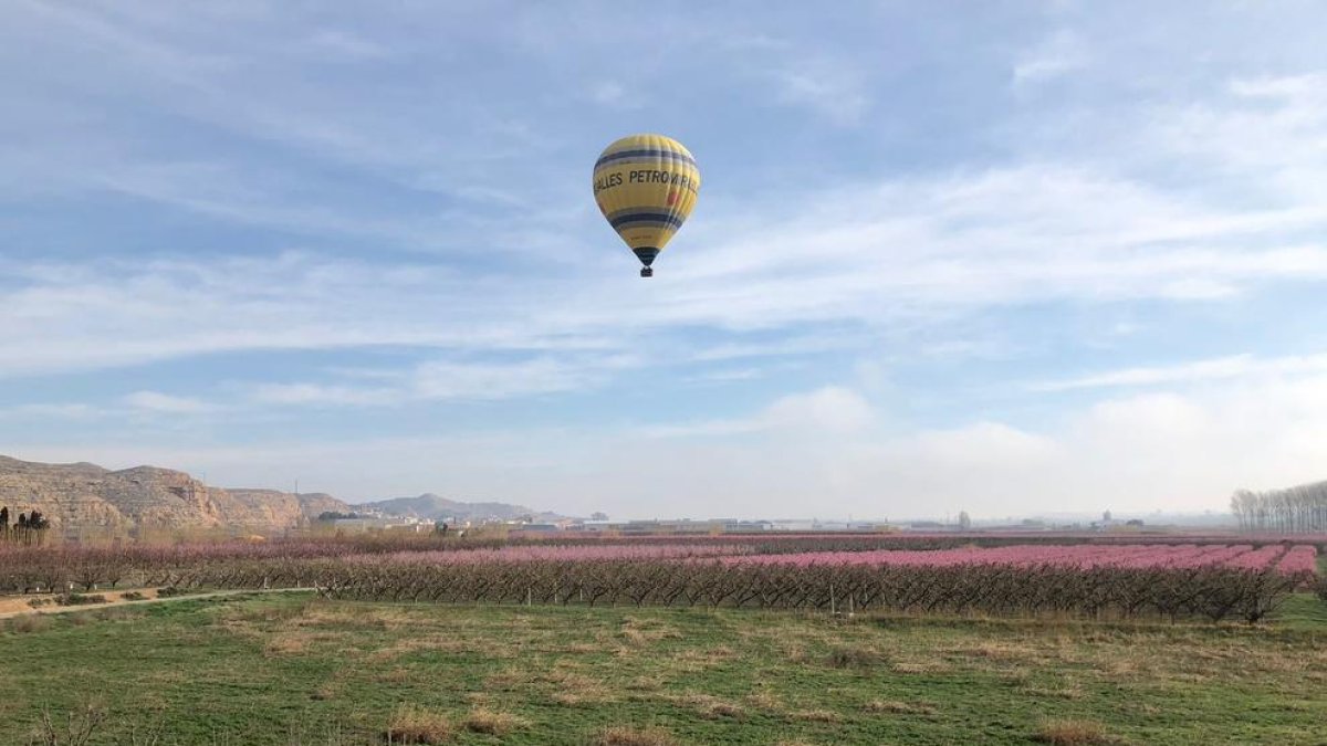 El primer dels vols amb globus sobre els fruiters florits d'Aitona