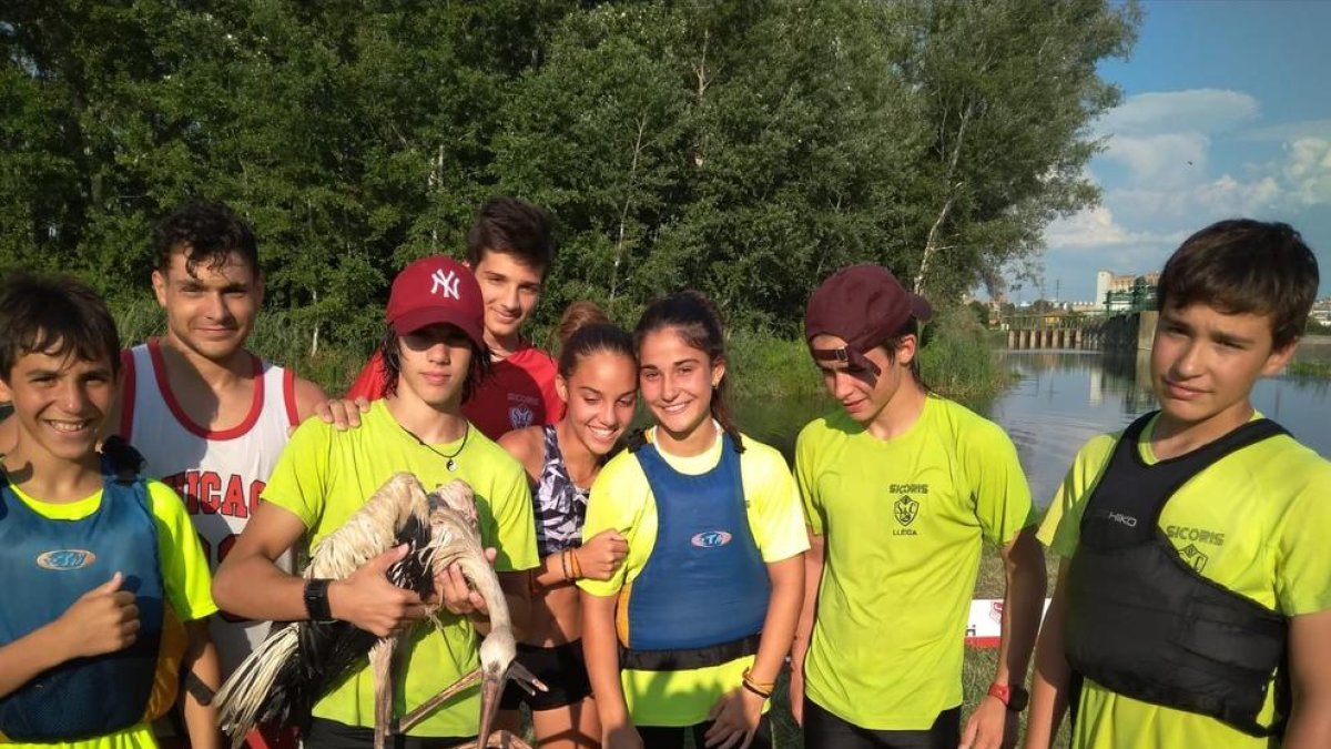 Imagen de los jóvenes piragüistas del Sícoris con la cigüeña que rescataron. 