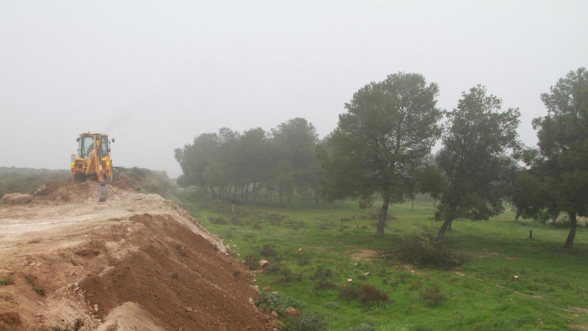 Bosque urbano en Magraners  -  La Paeria ha iniciado la adecuación del bosque urbano de Magraners, el cuarto de la ciudad, que tendrá 10.000 m² y donde se plantarán 237 árboles. El proyecto tiene un coste de 152.000 euros y un plazo de ejecuci ...