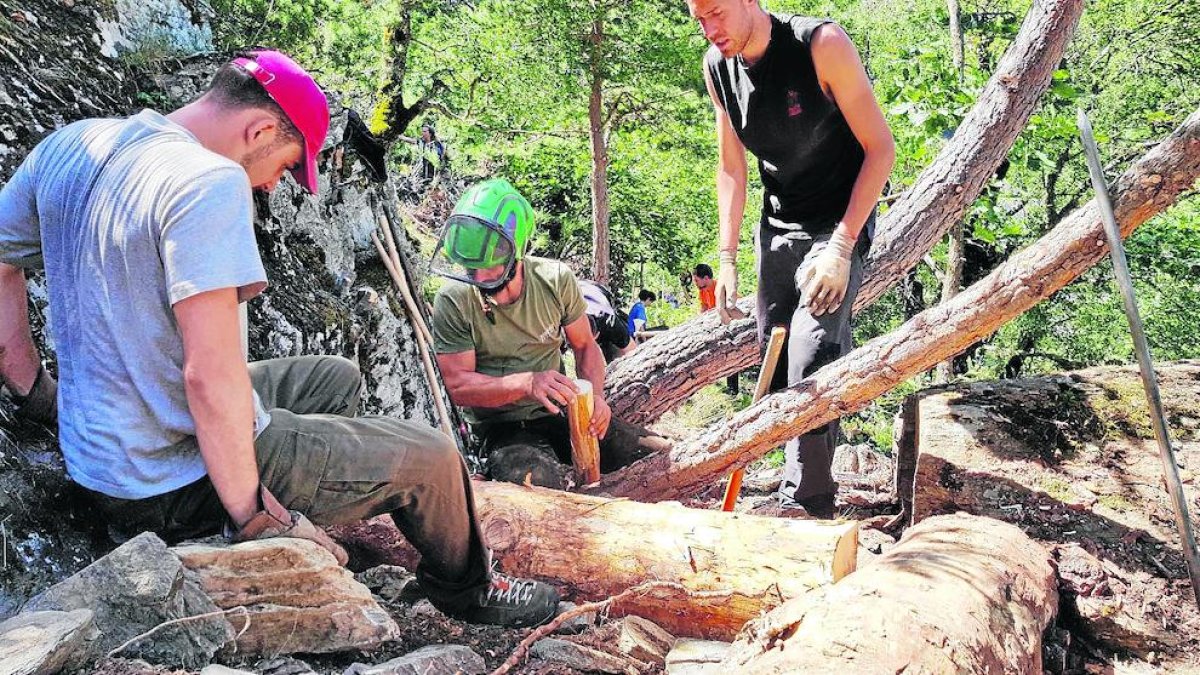 Voluntarios del Projecte Boscos de Muntanya trabajando en el camino de acceso al tilo más antiguo de Catalunya, en Rialp.