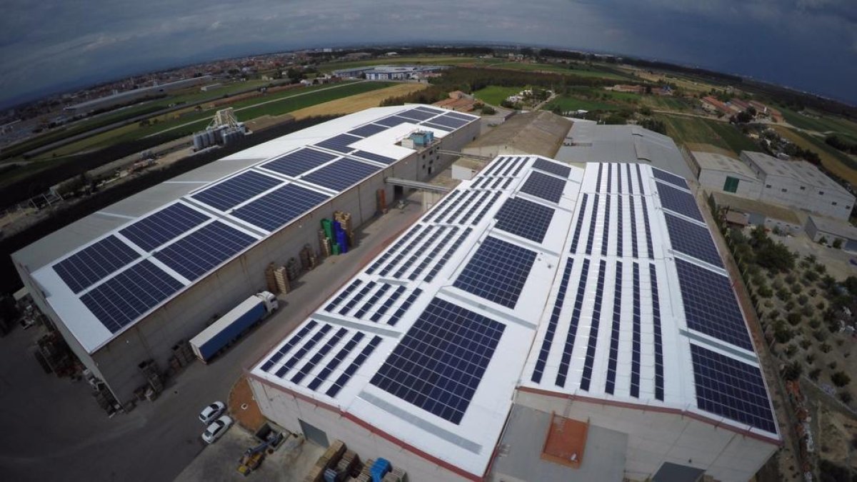 Els panells solars de l’empresa Frifruit a Miralcamp.