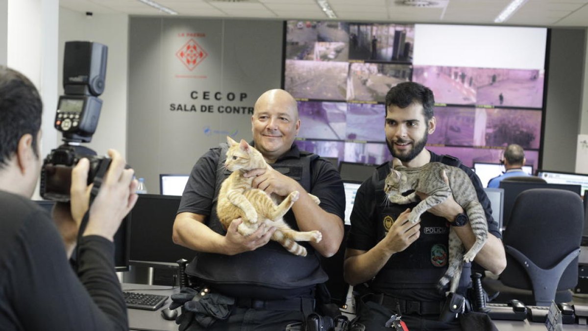 Calendari solidari de la Urbana de Lleida per promoure l'adopció d'animals