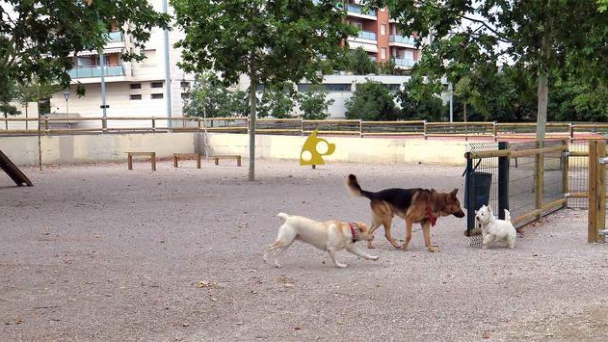 L'Ajuntament de Lleida obre l'àrea de gossos dels Jardins Jaume Magre