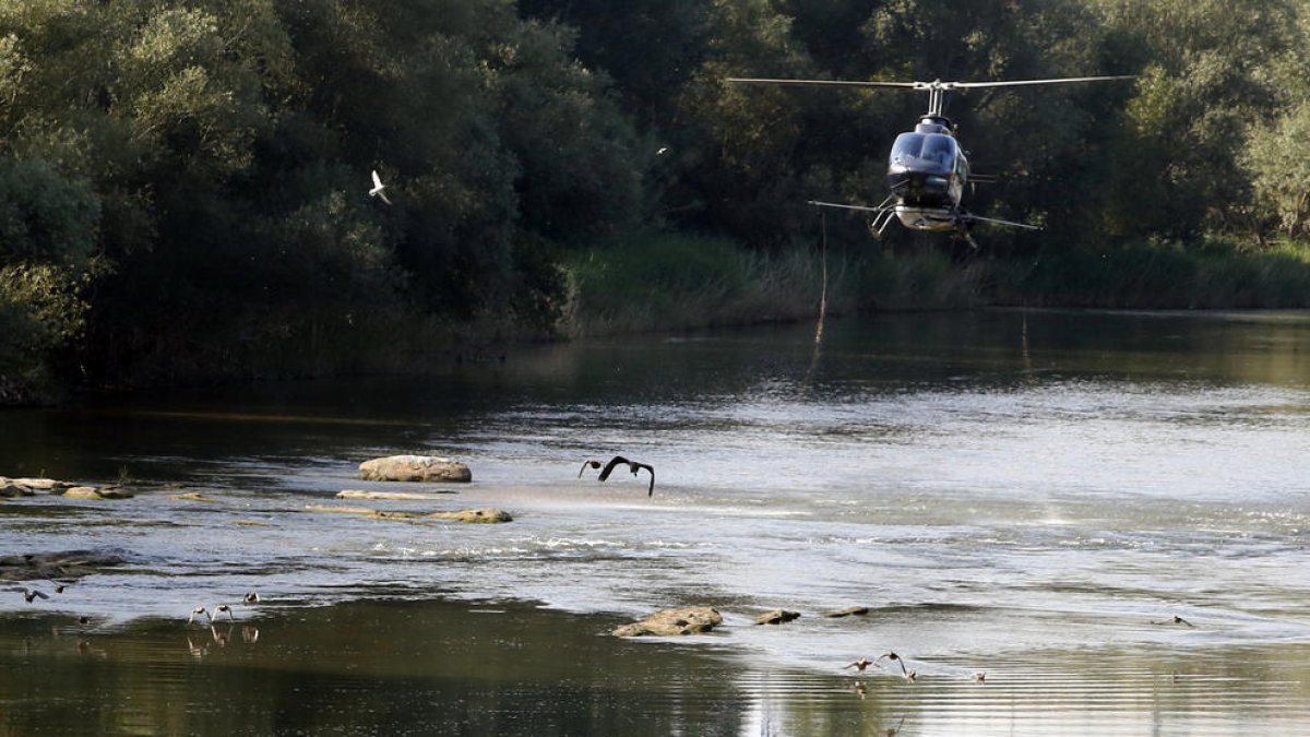 Imatge d'arxiu de l'helicòpter de fumigació al Segre.