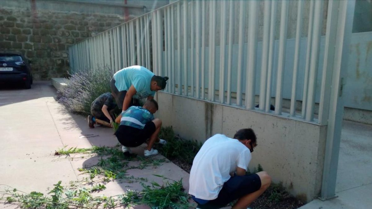 Quatre voluntaris del projecte Jova a Castelló de Farfanya.