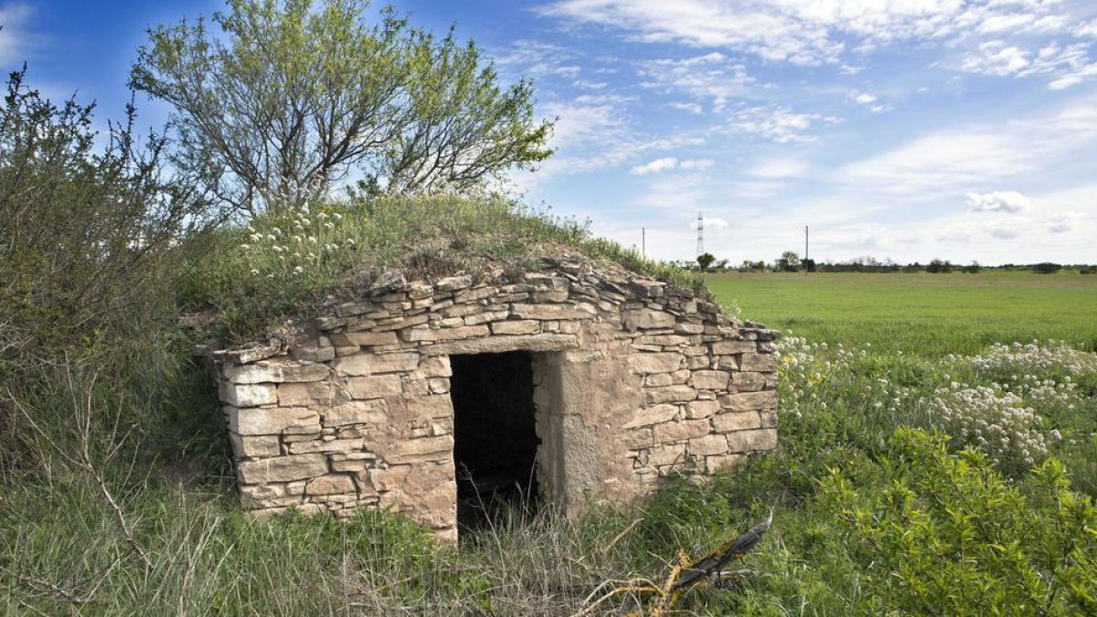 Els murs dels marges de pedra seca de Mas Ramon, Guissona, entre els més ben conservats a la Segarra.