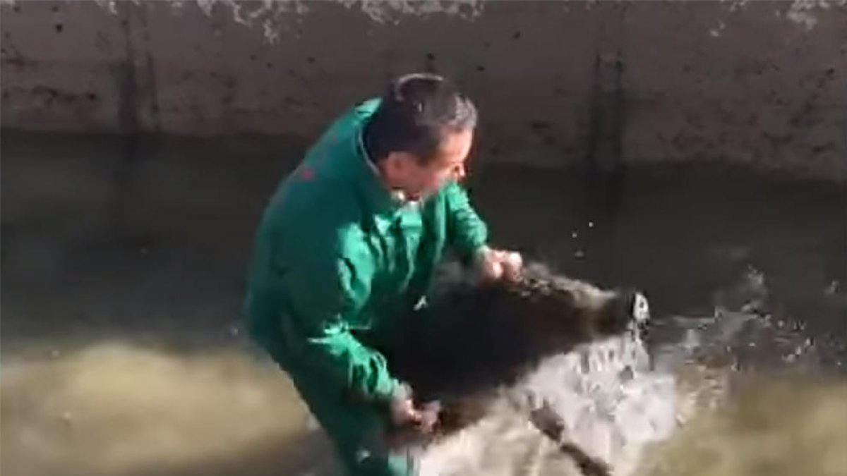 Un frame del vídeo que se hizo viral el martes. 