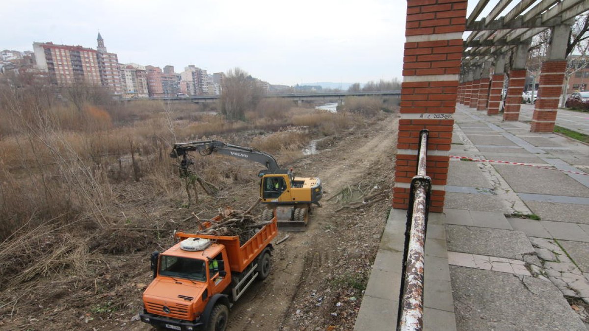 Obres en un dels marges del riu Cinca al seu pas per la capital per netejar de vegetació la zones de desaigüe urbà i de regadius.