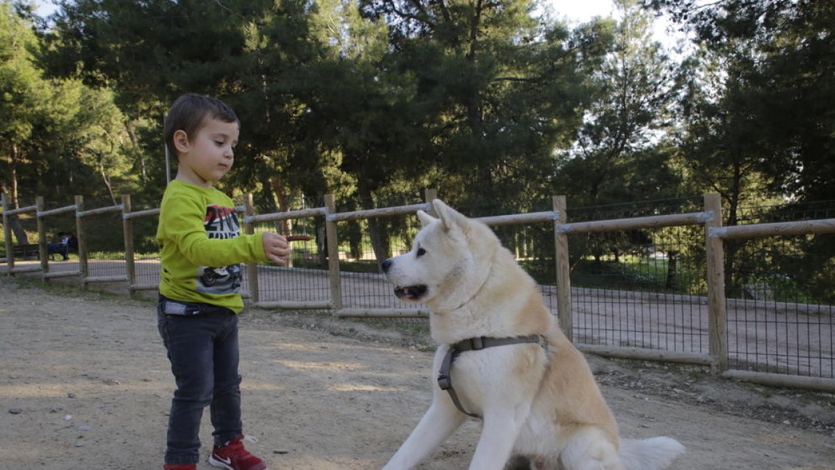 Un nen jugava ahir amb el seu gos al parc de Santa Cecília de Lleida.