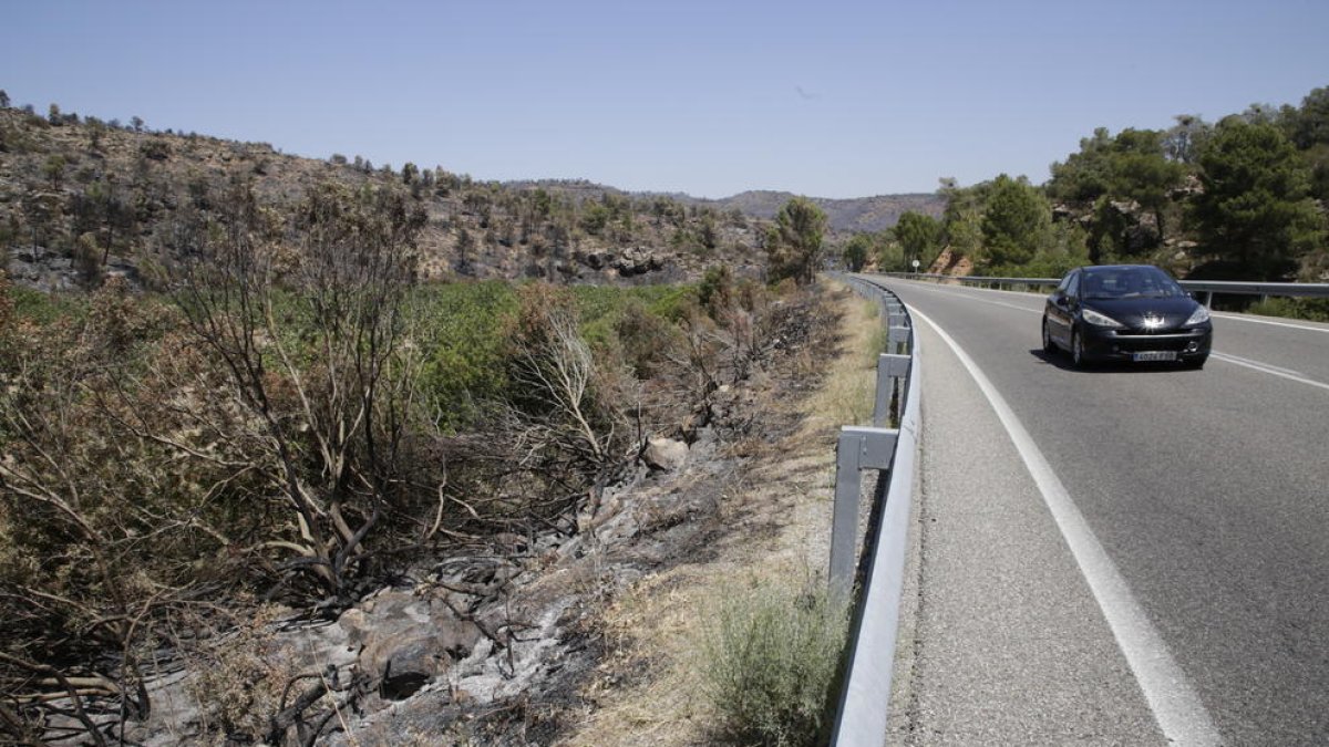 Muntanya cremada ahir al costat de la carretera C-12 entre Maials i Flix, que després de tres dies tallada, es va reobrir dissabte a la nit.