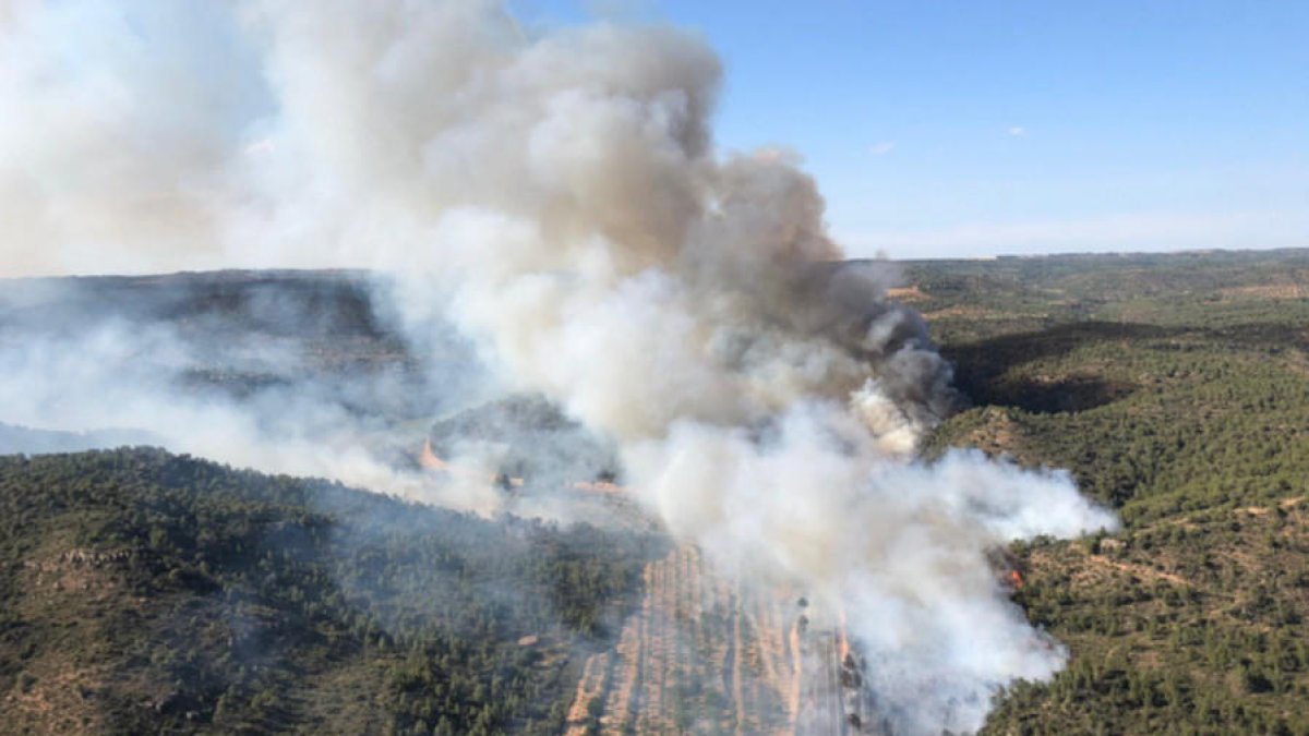 Una treintena de dotaciones de los Bomberos trabajan en un incendio forestal en Maials