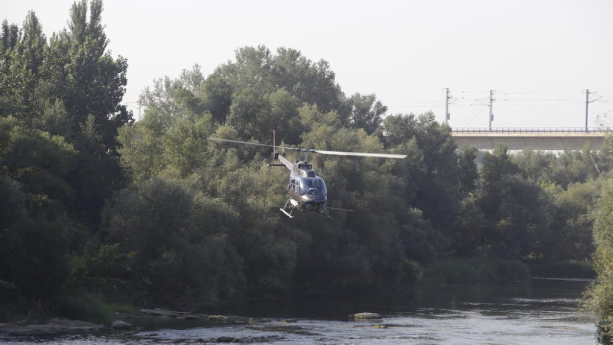 L’helicòpter fumigant ahir el riu a prop de Lleida ciutat.