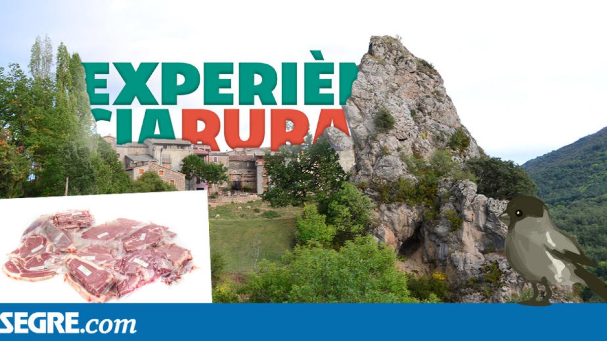 Experiència Rural 10