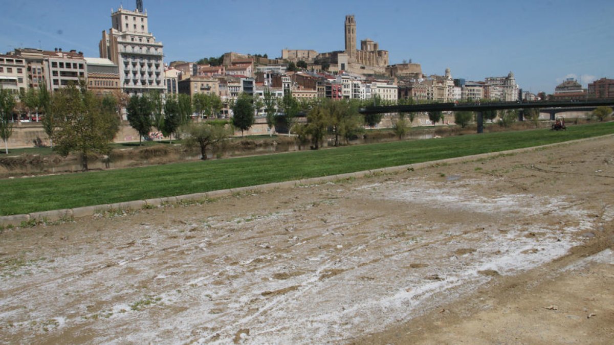 Pluja' de borrissol dels xops