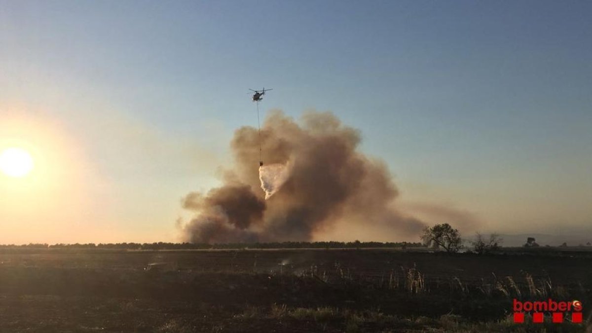 Les tasques d'extinció de l'incendi de Belianes.