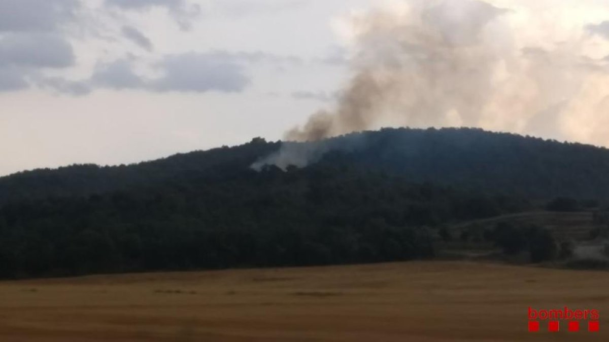 Els Bombers extingeixen un foc de vegetació a Artesa de Segre