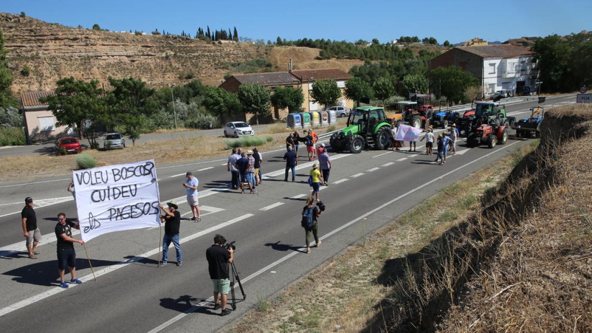 Diversos afectats ja van tallar la C-12 diumenge passat.