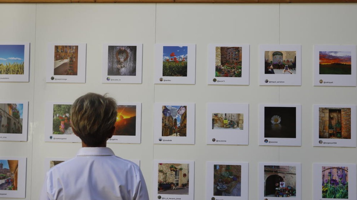 Exposició del concurs d’Instagram Les Garrigues en Flor, a l’IEI