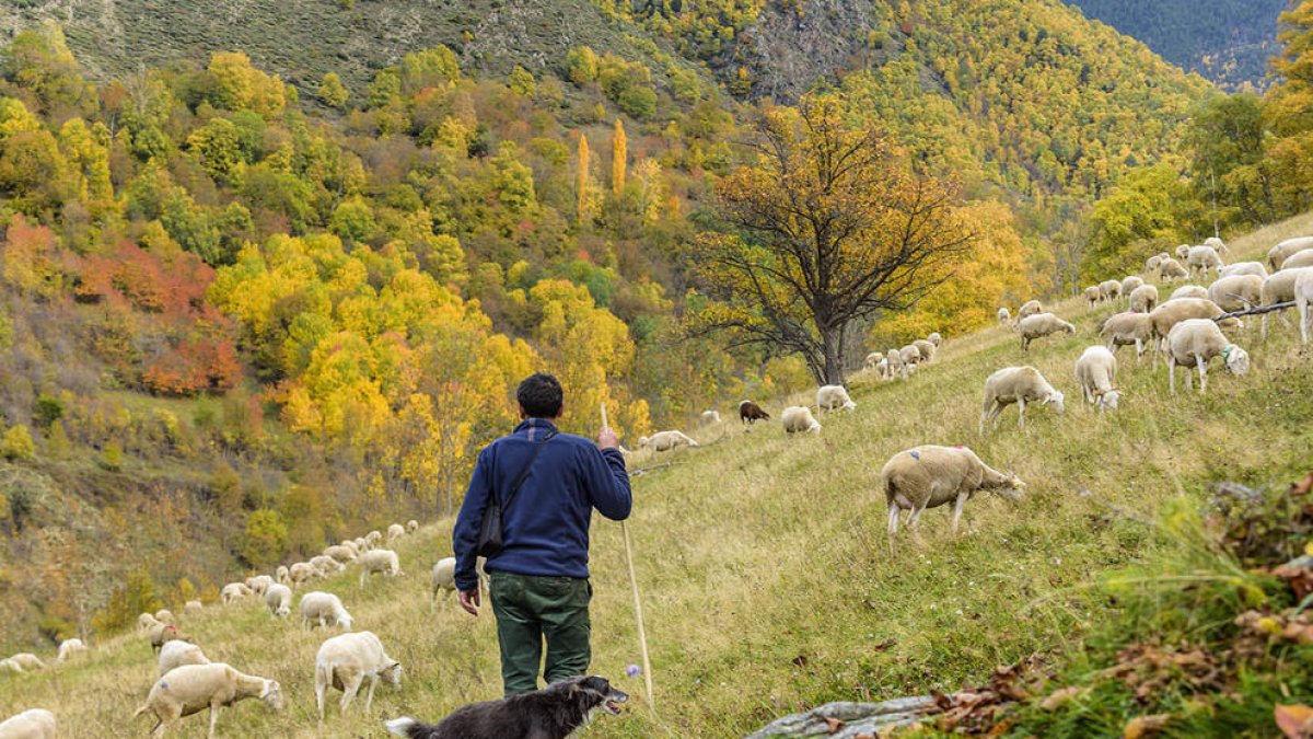 Vista del Parque Natural del Alto Pirineo