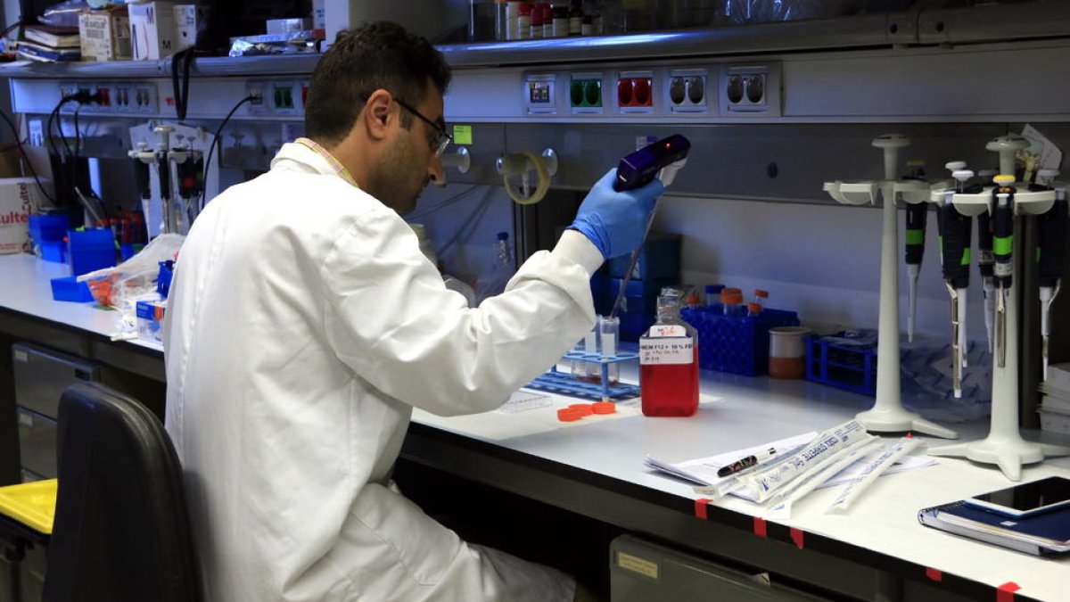 Un investigador del Laboratorio de Teràpia Molècular del Cáncer del Instituto Hospital del Mar de Investigaciones Médicas.