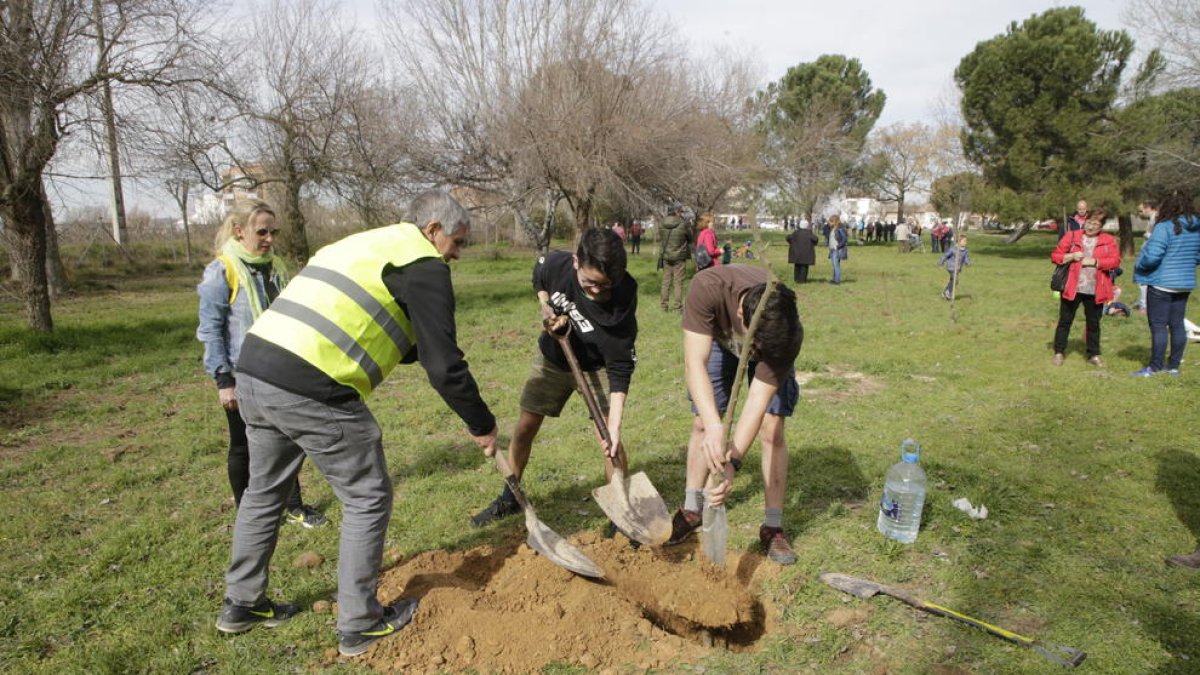 Plantada d’arbres per salvar el bosc del carrer Palauet de Lleida