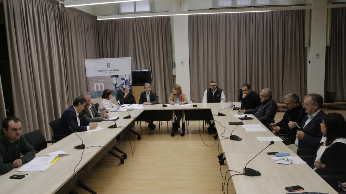La sesión de la comisión Boreas ayer en la Diputación.