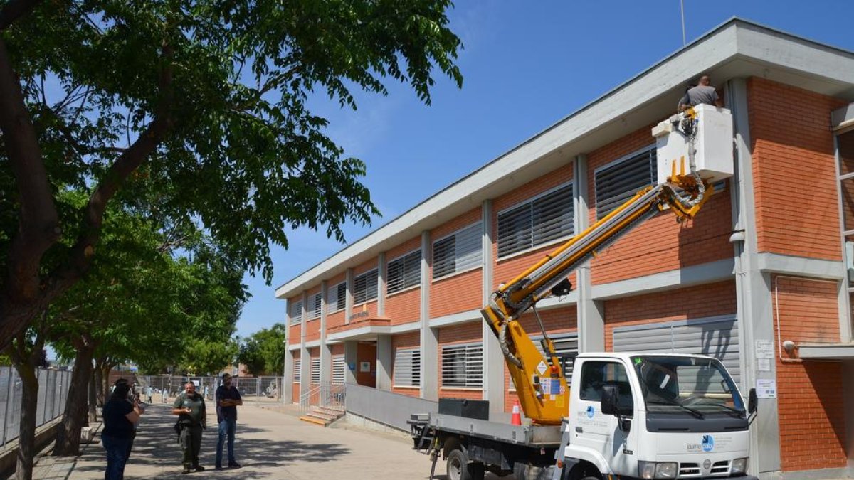 Los Agentes Rurales inspeccionan la colonia de murciélagos.