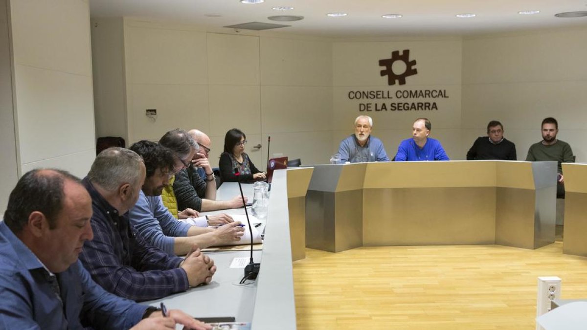 El ple del consell de la Segarra celebrat aquest dimecres.