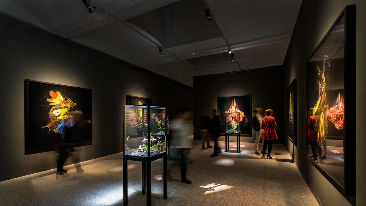 Izquierda, exposición de Mat Collishaw en primavera en Madrid. Derecha, ‘The End of Innocence’, de la colección de la Fundació Sorigué.