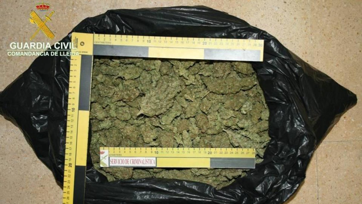 850 grams de marihuana