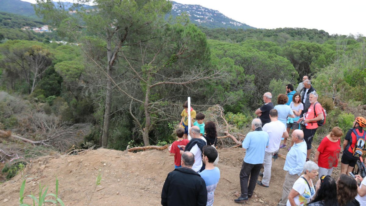 Activistes a la zona forestal per la qual ha de passar la C-32, ahir.