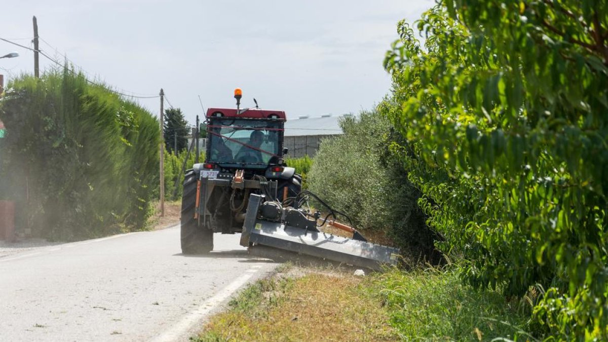 La Paeria desbroza márgenes de 26 kilómetros de caminos de l’Horta