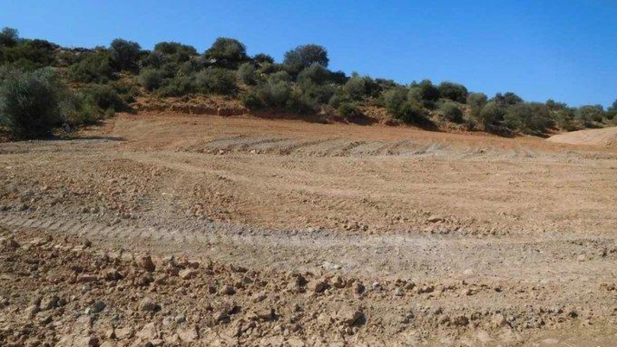 Els Agents Rurals han denunciat una empresa agrícola per llaurar una superfície forestal de 4.500 metres quadrats sense el permís.