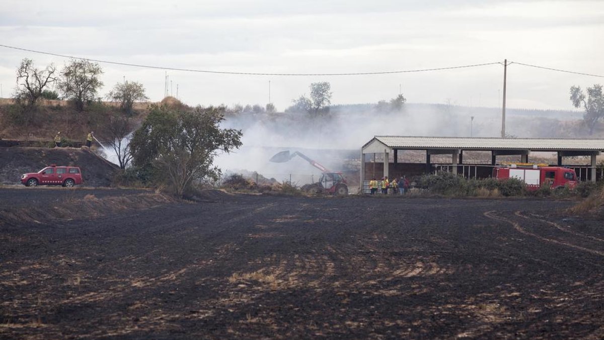 Los Bomberos trabajando en la extinción del incendio en las instalaciones de la granja. 