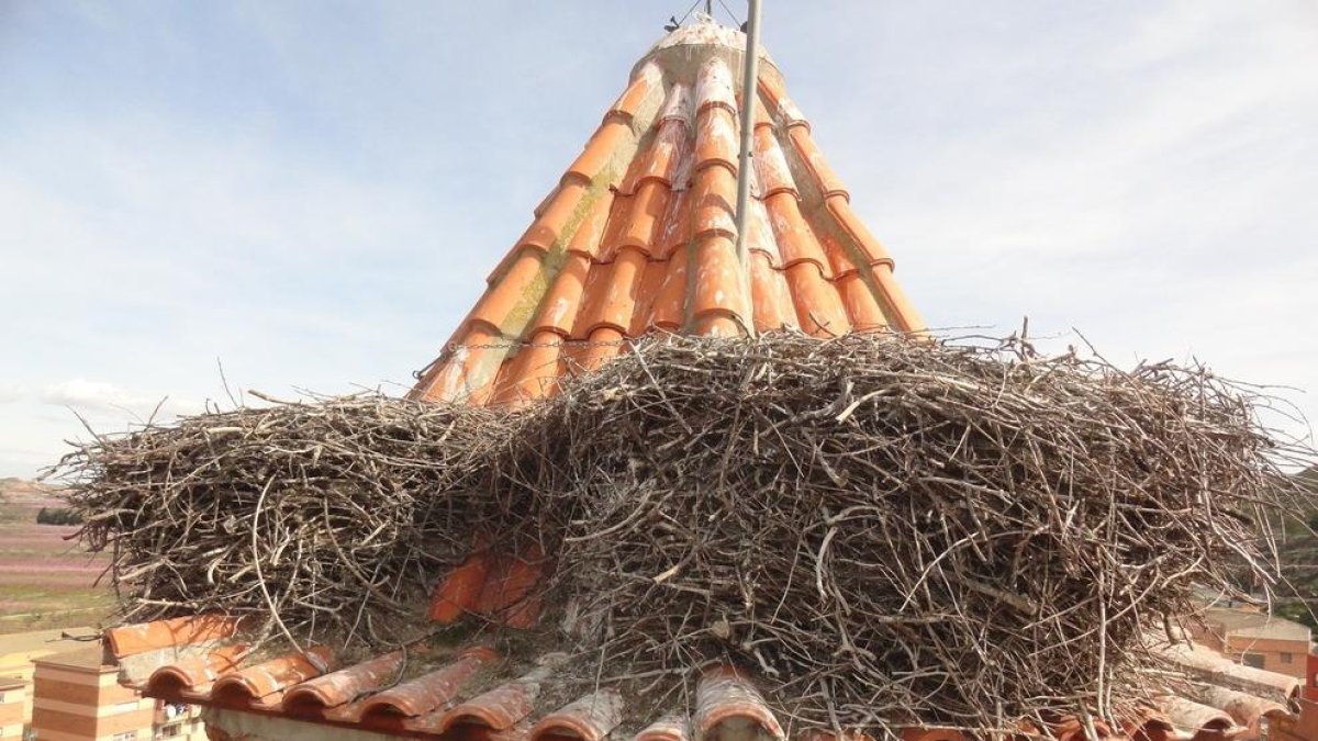 Reducen y limpian un nido de cigüeña de la iglesia de la Granja d'Escarp