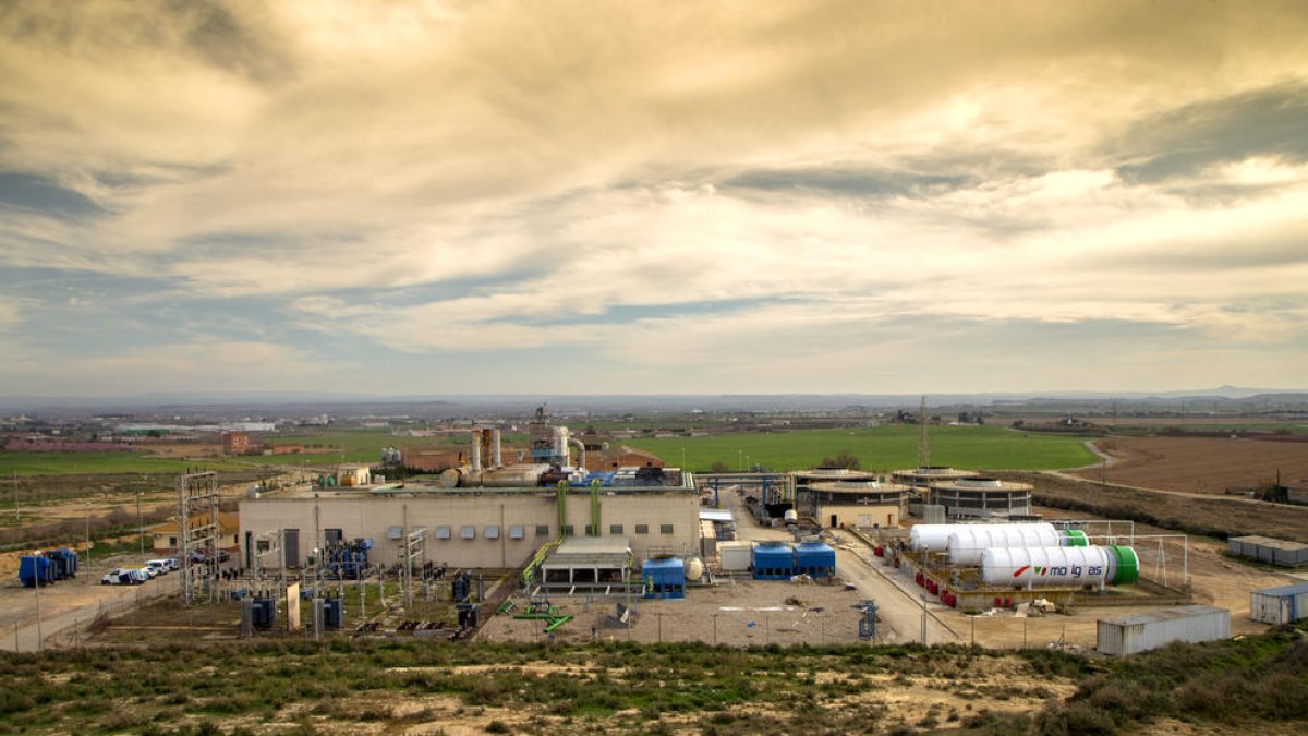 Las instalaciones de la planta de Alcarràs, cuyo propietario ha hecho la inversión necesaria para abrirla.