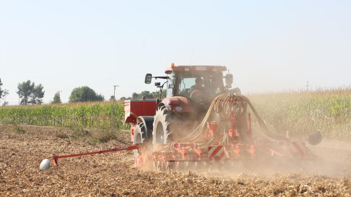 Imatge d’un tractor en un camp de cereal a Gimenells.