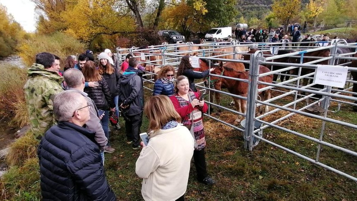 Los visitantes llenaron el recinto ferial pese a la lluvia.